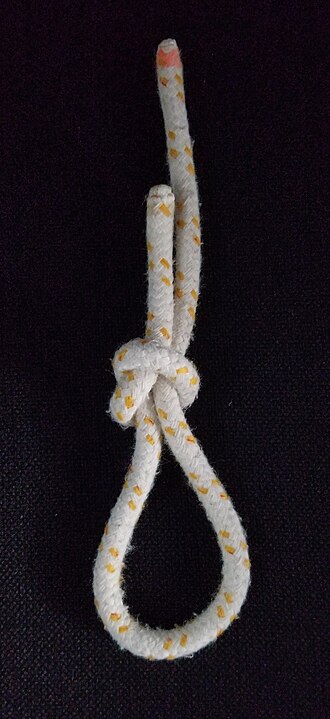 Schlinge